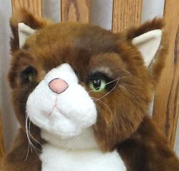 CuddlyfuLʂ u[XU 