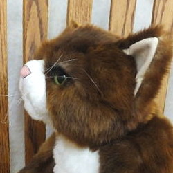 CuddlyfuLʂ u[XU 