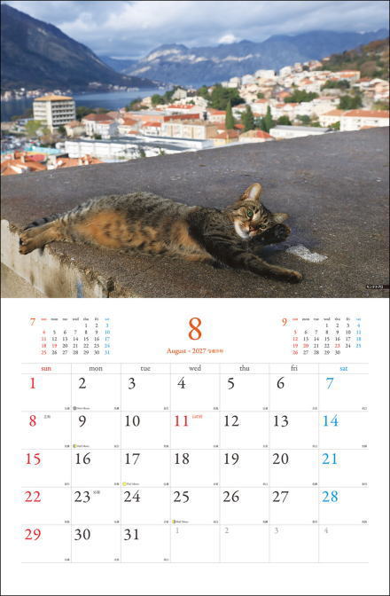 �J�����_�[