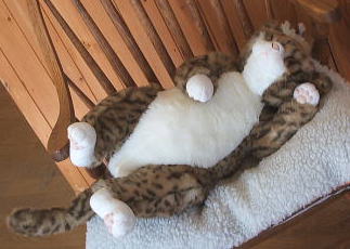 Cuddly�f�u�L�ʂ������