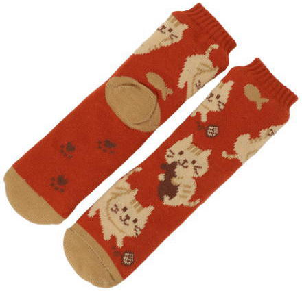 �{�A�\�b�N�X