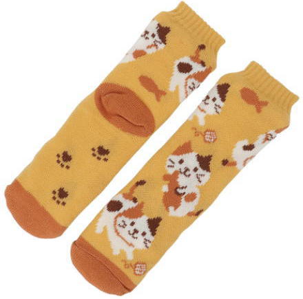 �{�A�\�b�N�X