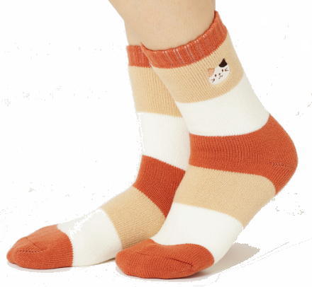 �N�у\�b�N�X