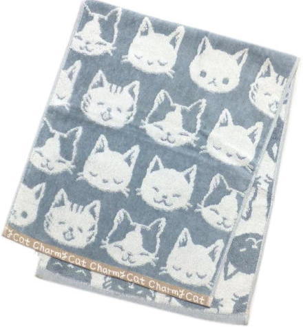 �t�F�C�X�^�I��