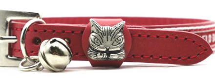 �y�b�g�o���h