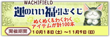 Wachifield