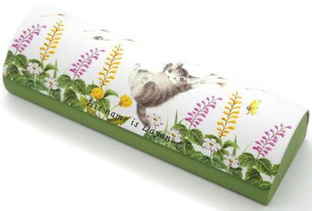 ���K�l�P�[�X